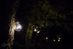 Lampy w ogrodzie na drzewach